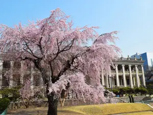 Deoksugung Palace