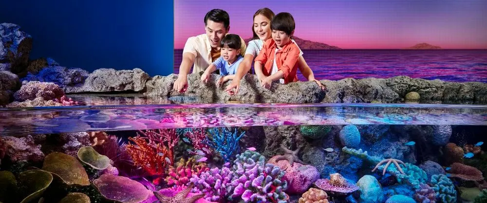 Family-Friendly Attractions