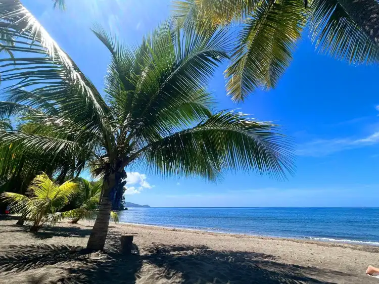 Hotels in der Nähe von Denshinji - Centre Zen Martinique