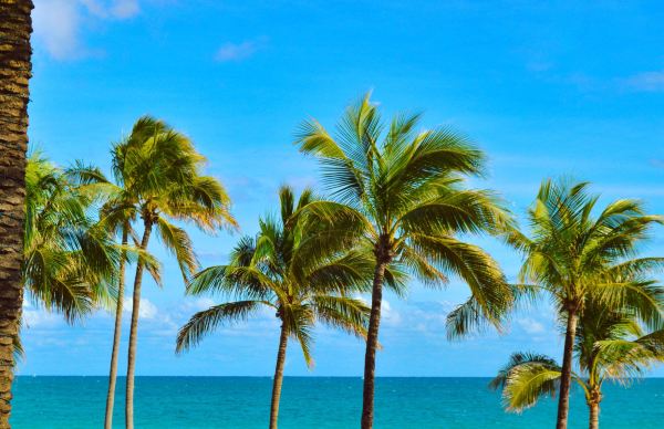 Πτήση New York προς Fort Lauderdale