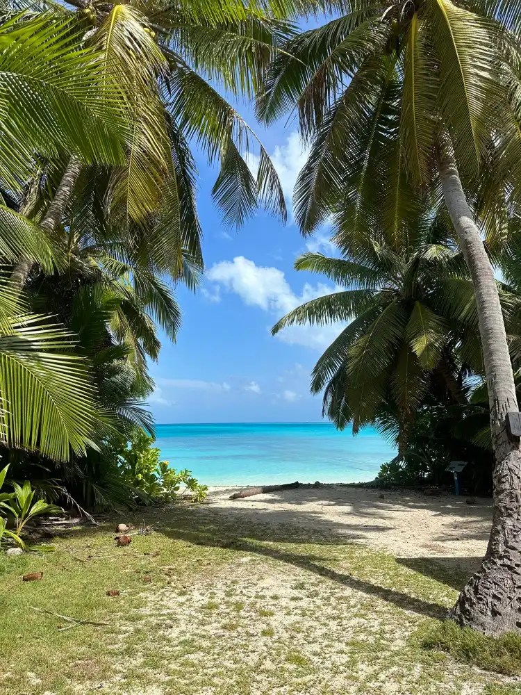Hotels near Direction Island