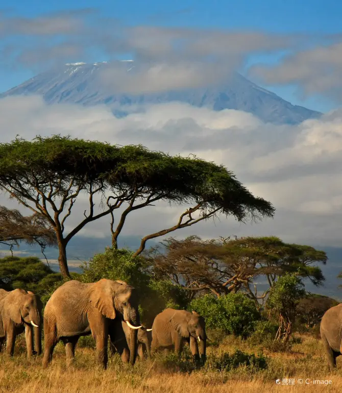 Amboseli National Park