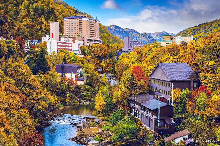 Tokyo to Sapporo Flights