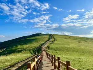 呼和浩特4大賞花踏青景點