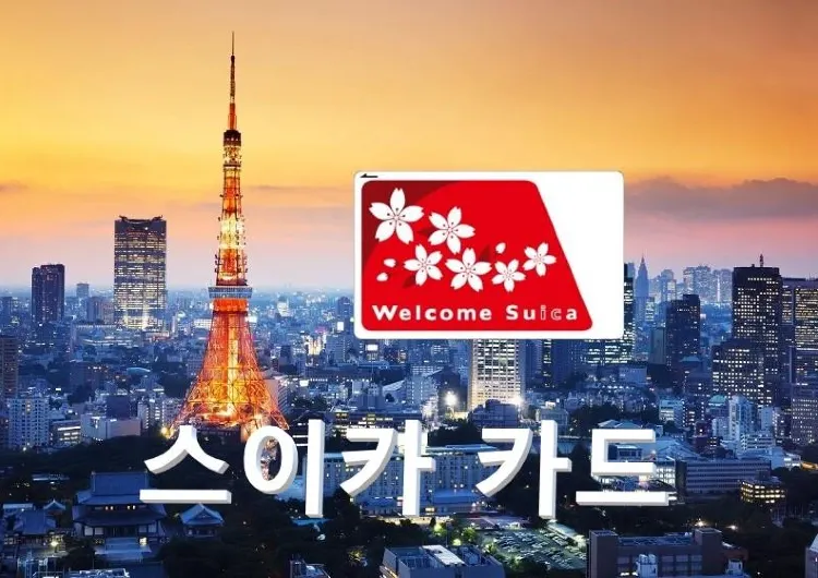 일본 여행 필수템 일본 스이카 카드 완전 정복 | 종류, 구매 방법, 사용법, 애플페이 등록까지!