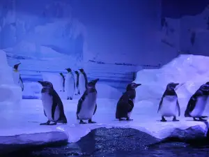 北海海底世界